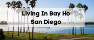Junk Removal & Debris Hauling Contractors Bay Ho San Diego