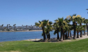 Junk Removal & Debris Hauling Contractors Bay Park San Diego