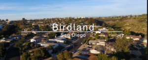 Junk Removal & Debris Hauling Contractors Birdland San Diego