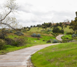 Junk Removal & Debris Hauling Contractors Black Mountain Ranch San Diego