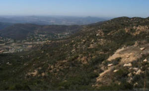 Junk Removal & Debris Hauling Contractors Jamul San Diego