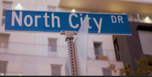 Junk Removal & Debris Hauling Contractors North City San Diego