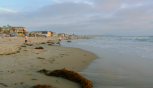 Junk Removal & Debris Hauling Contractors Pacific Beach San Diego