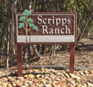 Junk Removal & Debris Hauling Contractors Scripps Ranch San Diego