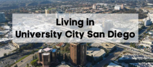Junk Removal & Debris Hauling Contractors UTC San Diego