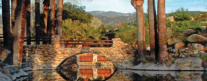 Junk Removal & Debris Hauling Contractors Warner Springs San Diego
